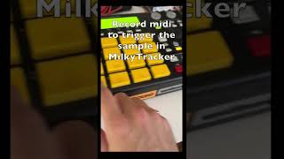 MilkyTracker  MPC1000 akai mpc1000 sampler 2024 amiga boombap beats 1200 500 midi [upl. by Annhoj]