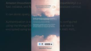 AWS Amazon DocumentDB aws certification exam documentdb ccp saa [upl. by Sension]