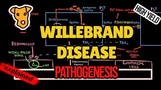 VON WILLEBRAND DISEASE Pathogenesis of clinical symptoms vWF function Treatment Classification [upl. by Emilio966]