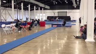 Wu Guonian Classic 2022  Vault  Level 3 Boys Gymnastics [upl. by Guimar]