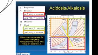 pH Acid Homeostasis Part 2 [upl. by Kenweigh]