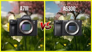 Sony A7iii vs A6300 Comparison [upl. by Suoivatnod]