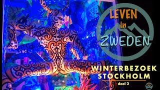 LEVEN IN ZWEDEN Winterbezoek Stockholm deel 2 [upl. by Ahteres301]