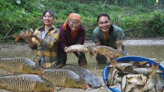 fish pond with mother harvesting fish for sale peaceful life farm life SURVIVAL ALONE [upl. by Evelina737]