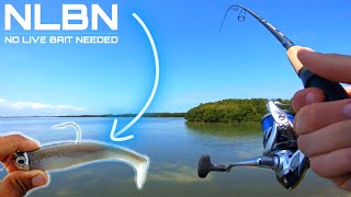 ULTRA Clear Water Fishing The NLBN 3quot Paddle Tail  Gheenoe LT25 [upl. by Marya]