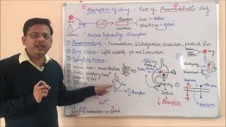 Pharmacokinetic Part 01 Absorption of Drugs  Factors Affecting Drug Absorption  Pharmacokinetics [upl. by Legnaleugim]