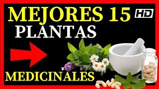 Lista de 15 Plantas Medicinales 💚 De Las Mejores Que Existen y Sus Usos💚 [upl. by Mihsah]