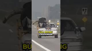 Bull rides passenger as he drives down the highway shorts [upl. by Rafaellle21]