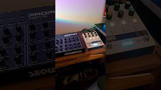 Testing new Chroma Console with Prophet Rev2 microcosm chromaconsole prophetrev2 [upl. by Milly657]