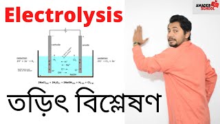 Electrolysis  SSC Chemistry  তড়িতবিশ্লেষণ  Fahad Sir [upl. by Solange]