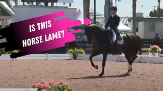 Is This Horse Lame Lameness Lab [upl. by Maisel]