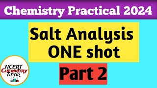 ONE SHOT2 Salt Analysis Practical ChemistryClass 12  Practical exam 2024Salt analysis [upl. by Enajyram]