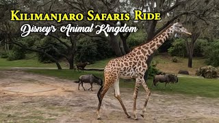 Kilimanjaro Safaris Full Ride at Disney’s Animal Kingdom  Walt Disney World  Orlando Florida [upl. by Nybbor]