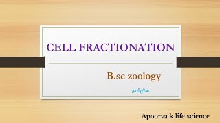 cell fractionation in tamilCell fractionation in bsc zoology in tamilCell biology fractionation [upl. by Ybreh123]