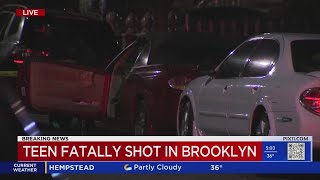 Man shot to death while sitting in car in Brooklyn black vehicle sought NYPD [upl. by Nnylrefinnej154]