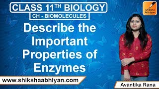 Q15 Describe the important properties of enzymes  CBSE Class 11 Biology [upl. by Liscomb634]