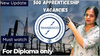 TANGEDCO JOB FOR DIPLOMA STUDENTS  ELECTRICAL  EC  CSE  IT  MECH  CIVIL [upl. by Galitea]