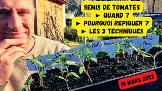 Cest LE moment de semer nos tomates potager mars 2023 [upl. by Ettelrahc]