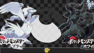 Everything Pokemon Reshiram and Zekrom Signature Move  Luvdisc Evolution amp DP 186 amp 187 News [upl. by Annanhoj]