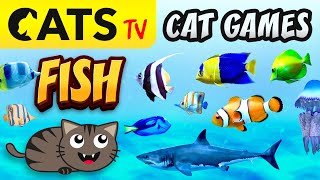 CAT GAMES 🌊📺🐟 FISH Compilation for cats 🐠🙀 4K 60 FPS 3 HOURS [upl. by Clementina]