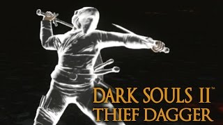 Dark Souls 2 Thief Dagger Tutorial dual wielding w power stance [upl. by Bernie116]