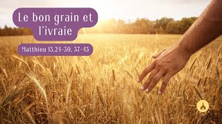 Le bon grain et livraie [upl. by Ax]