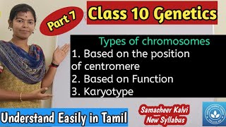 Types of Chromosomes based on the position of centromere and based on the function Karyotype [upl. by Leavitt]