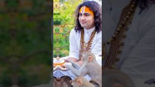 Aniruddhacharya Ji Kathaaniruddhacharyajilive shorts viral aniruddhacharyakatha aniruddhacharya [upl. by Jeffries]