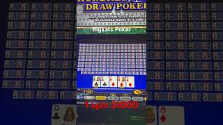 1000 spin Video poker bigkatspoker poker [upl. by Setiram]