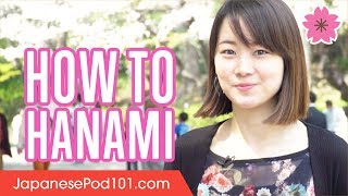 How to Hanami A Beginner’s Guide to Cherry Blossoms Viewing in Japan [upl. by Patty804]