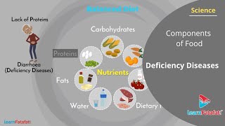 Components of Food Class 6 Science  Deficiency Diseases [upl. by Yorke]