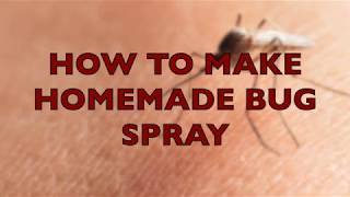 How to Make Homemade Bug Spray [upl. by Repinuj]