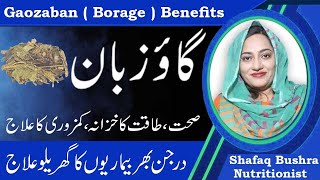 Amazing Health Benefits Of Borage Benefits In Urdu  Gao Zuban Ke Fayde [upl. by Ayaladnot91]