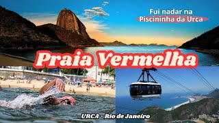 Praia Vermelha  Nadando na Melhor Praia do Rio de Janeiro  Urca RJ [upl. by Noremak318]