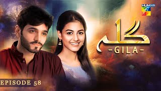 Gila Episode 58  Wahaj Ali  Anzela Abbasi  Best Pakistani Serial  HUM TV [upl. by Wolk586]