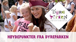 Høydepunkter fra Dyreparken [upl. by Flodnar]