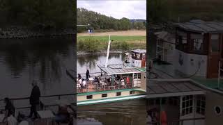 Dampfer quotStadt Wehlenquot passiert die Brücke Niederwarta in Richtung Meißen [upl. by Sikorski431]