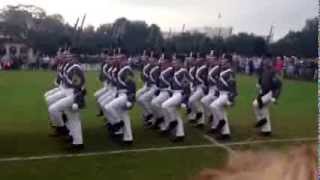 2014 Summerall Guards Homecoming Performance [upl. by Urban865]