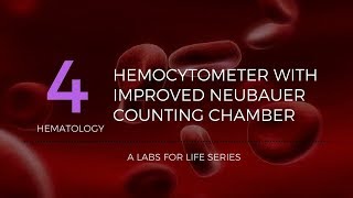 Hemocytometer with improved Neubauer Counting Chamber [upl. by Un763]