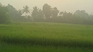 village talkies entertainers  Indian village Agriculture family vlogs Videos [upl. by Ahsakal]