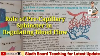 Role of PreCapillary Sphincter in Maintaining Blood flow MDCAT Biology [upl. by Jann]