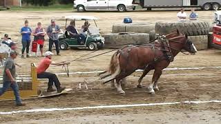 HORSE PULL  Westmoreland County Fair 2023 [upl. by Aral103]