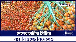 কক্সবাজারে এ বছর সুপারির বাম্পার ফলন  Cox’s Bazar  Betel Nut  Supari  News24 [upl. by Sivatco]