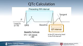 Long QT Syndrome by G Dhillon  OPENPediatrics [upl. by Inanak825]