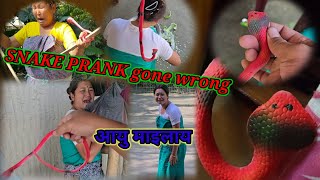 SNAKE PRANK GONE WRONG 🤣 😥😥nmahilaryofficial [upl. by Ailis]