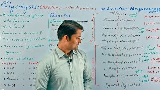 Glycolysis RespirationBioenergeticsSTB NCERT FTB PTB Hindi UrduProSuresh Kumar [upl. by Zwart620]