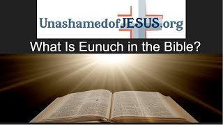 Biblical Response to Liberal Theology What is a Eunuch [upl. by Yruy]