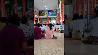 Chanting in a Thai temple for Buddhist lent [upl. by Mccafferty]