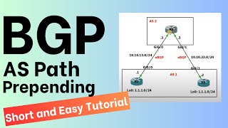 How to Configure BGP AS Path Prepending Short amp Easy Tutorial [upl. by Lenad961]