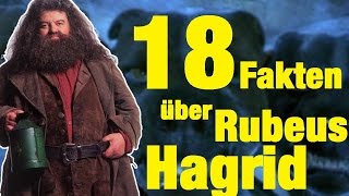 18 FAKTEN über Rubeus HAGRID [upl. by Llerroj]